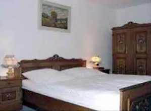 Altes Forsthaus Hotel 3*